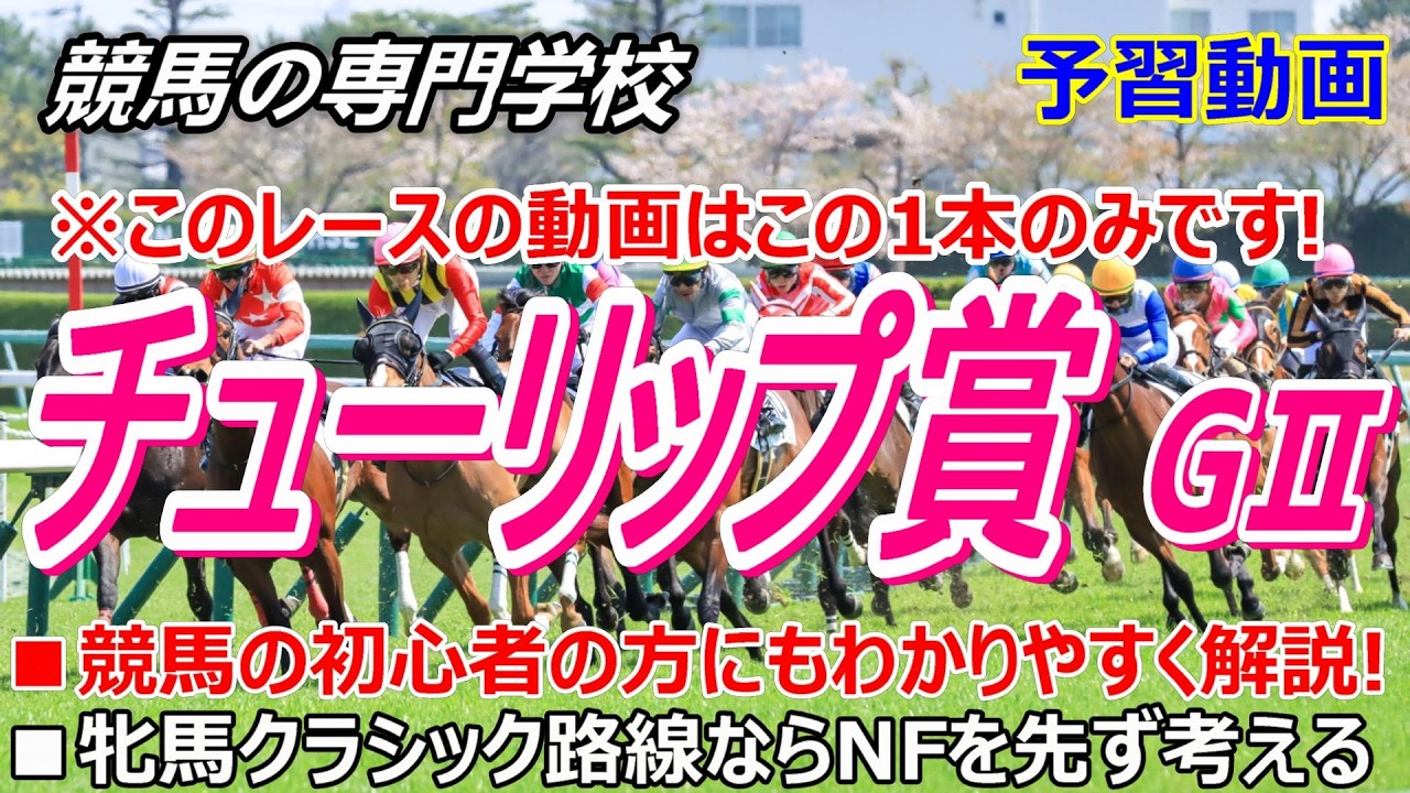 【チューリップ賞2026】予習動画 馬券の軸はこの馬から 狙ってみたい馬ほか【競馬の初心者の方にもわかりやすく解説】