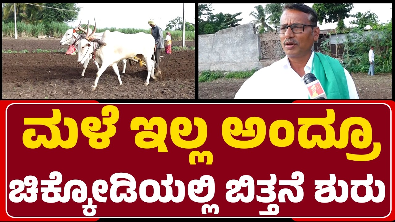 Farmers : ಮಳೆ ಇಲ್ಲ ಅಂದ್ರೂ Chikkodiಯಲ್ಲಿ ಬಿತ್ತನೆ ಶುರು | Lack of Rainfall | @newsfirstbelagavi