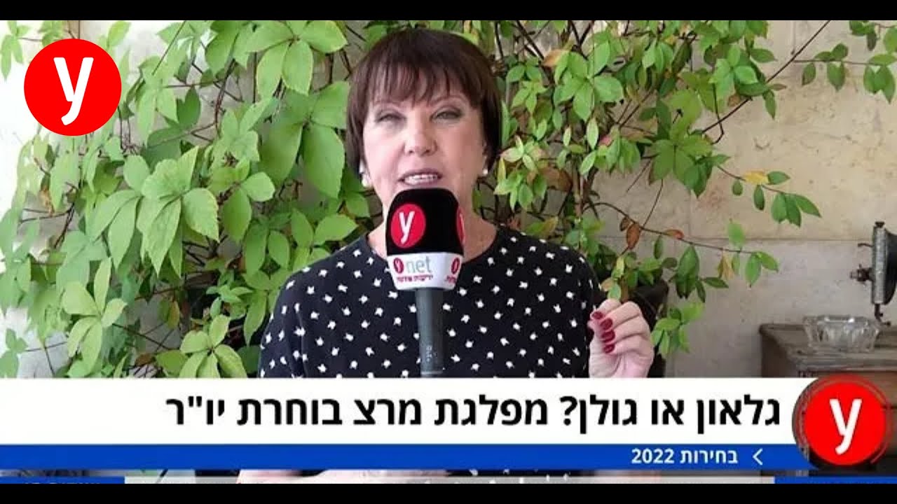 גלאון או גולן? מרצ בוחרת יו