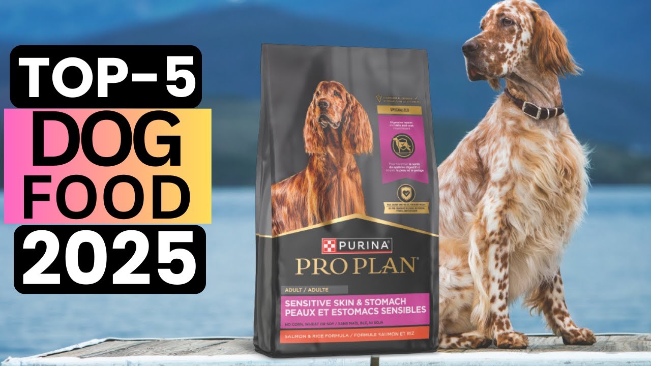 🏆Top 5 Best Dog Food 2025 | Healthy Nutrition for Your Dog