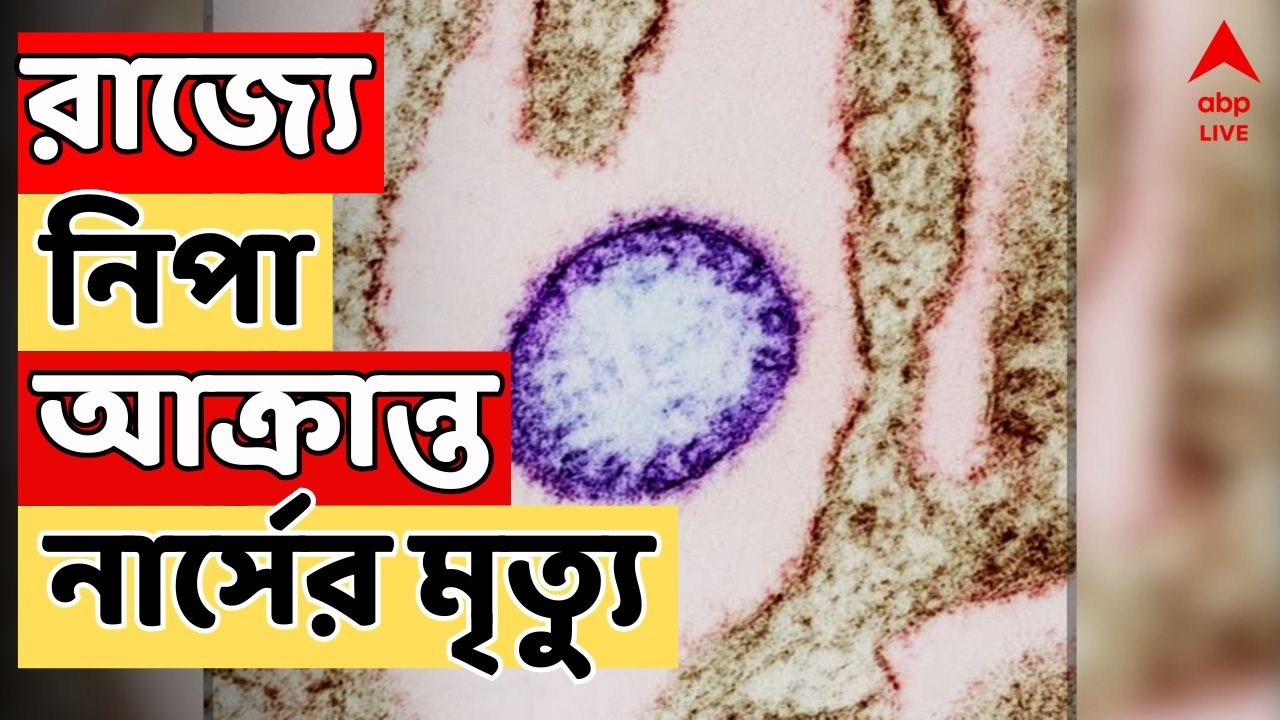 Nipah Virus Live: রাজ্যে নিপা আক্রান্ত নার্সের মৃত্যু, বারাসাতের নারায়না হাসপাতালে ভর্তি ছিলেন