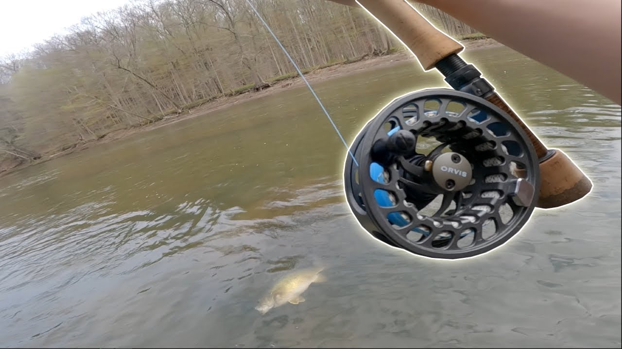 Can you Euro Nymph for Smallmouth Bass? | Fly Fishing