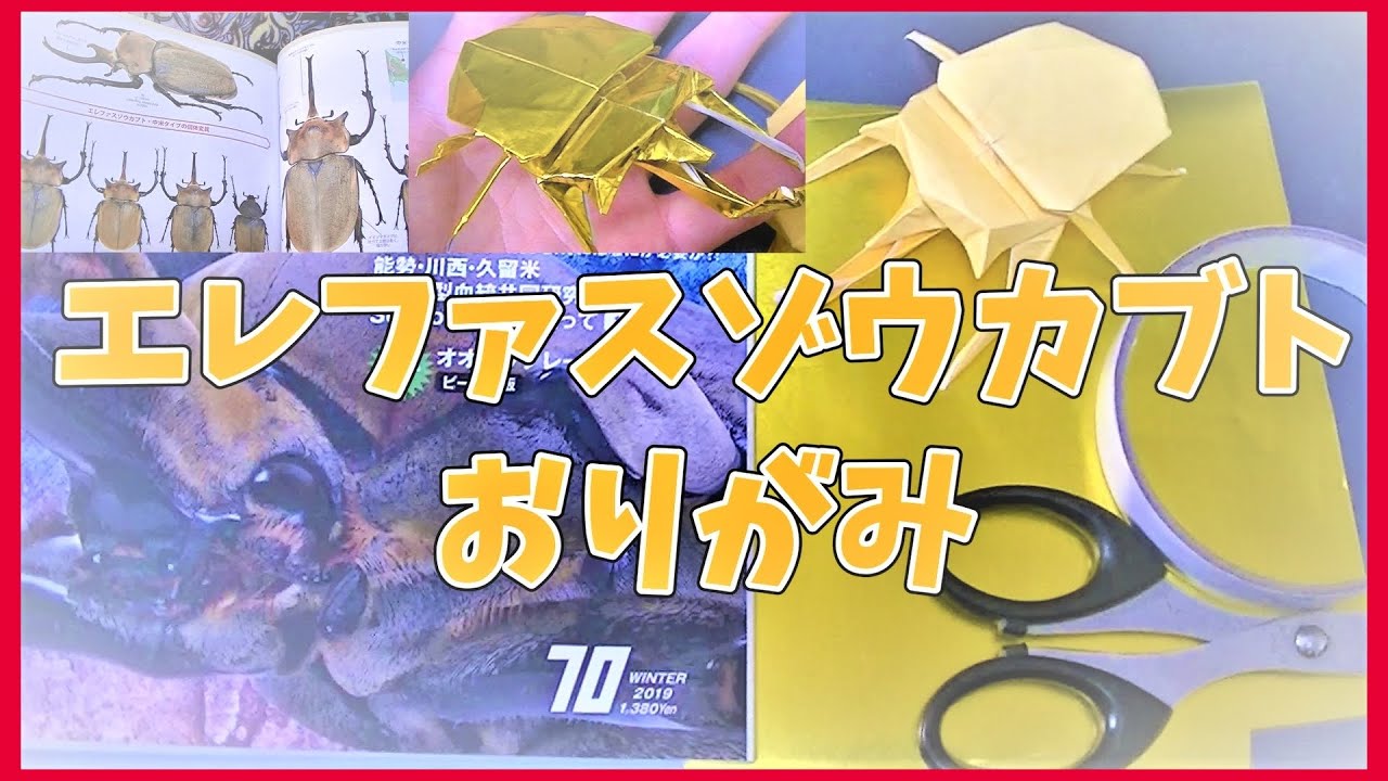 エレファスゾウカブトおりがみ(Megasoma elephas origami)象甲虫折纸/摺紙(엘레 파스 코끼리 풍뎅이 종이 접기)