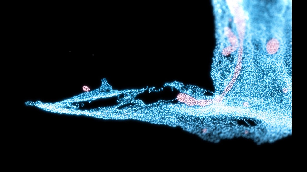 Abstract Animation