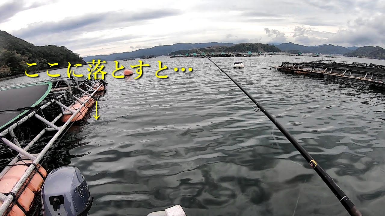 雨の中、養殖イケスの際に牡蠣を落としたら爆釣した… 【夢のロクマル #14】