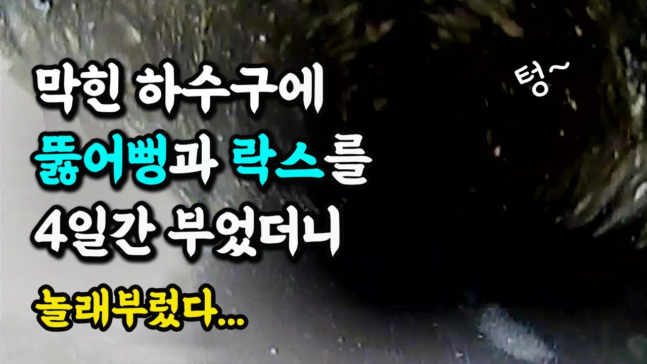 하수구가 막혀서 뚫어뻥과 락스를 4일동안 부었더니...