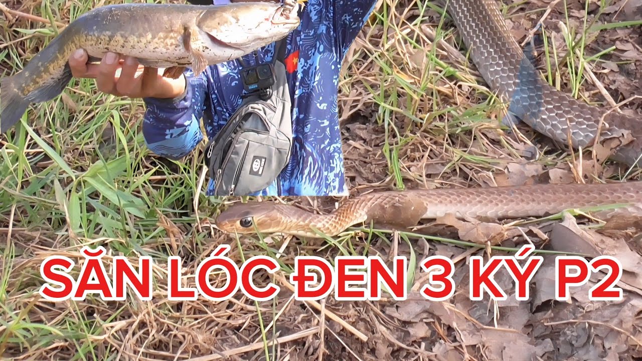 H&agrave;nh tr&igrave;nh c&acirc;u c&aacute; l&oacute;c tự nhi&ecirc;n 3 k&yacute; 2026 p2 huynhvananfishing