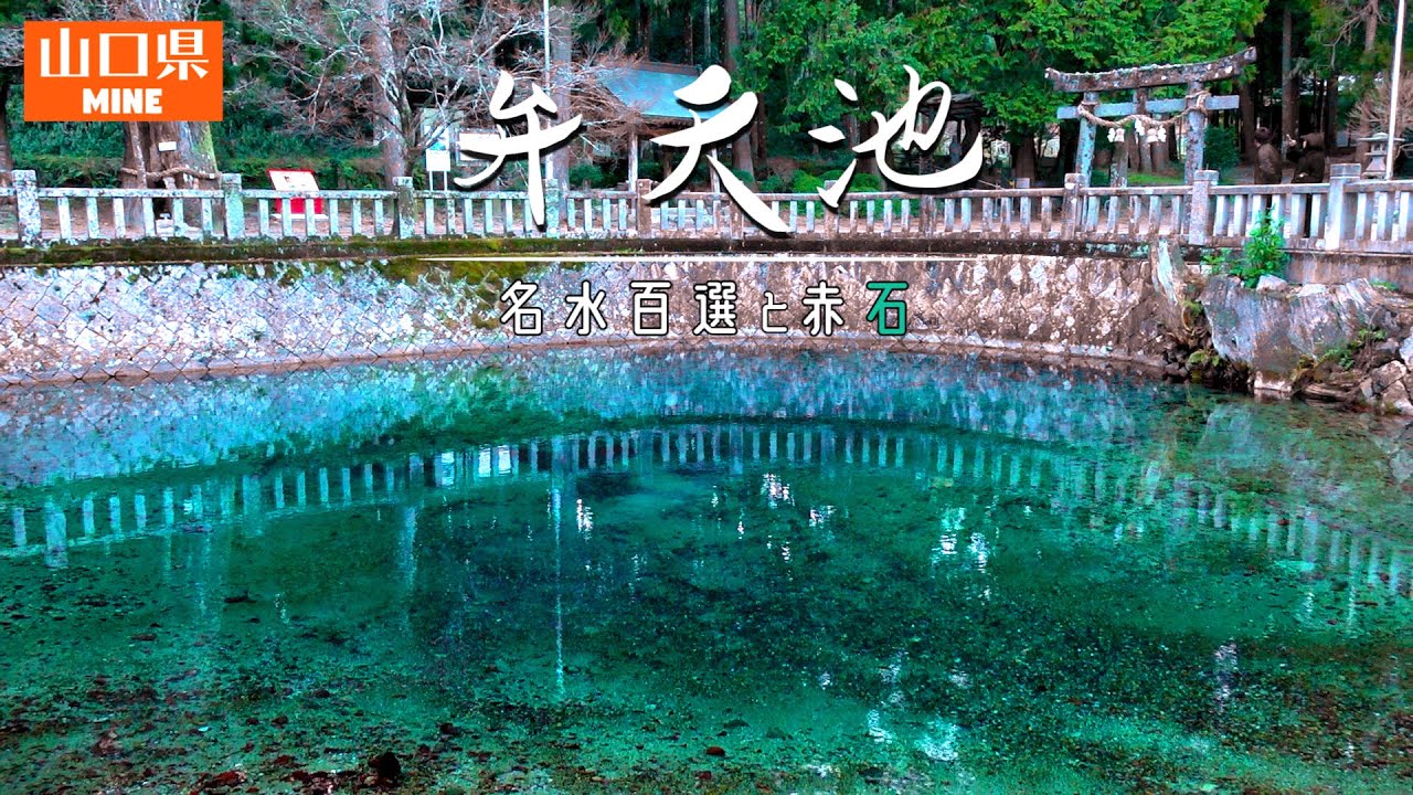 神秘！翠玉に染まるパワースポット「弁天池」【ちょるやま！.vol3】