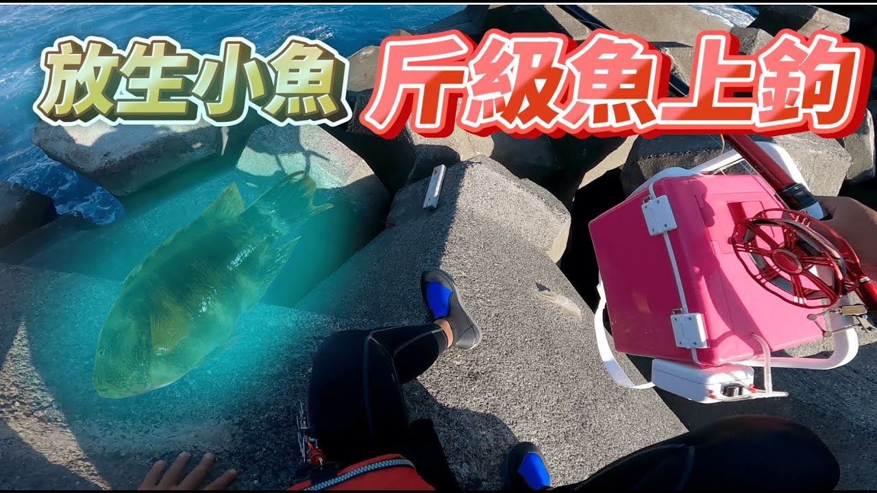 北部高難度肉粽場前打 斤級魚類現身!