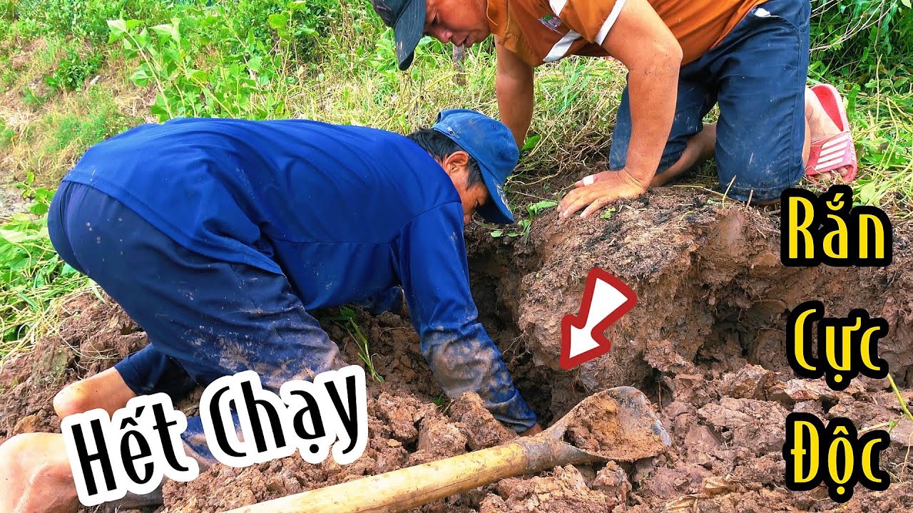 Càng Quét Tại Sóc Trăng Ngày Đầu Ra Trận Thành Quả Quá Trúng | Mười Thương SB