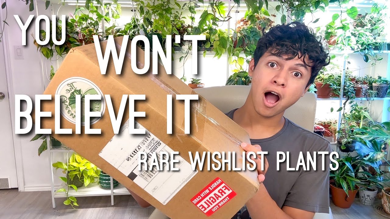 Распаковка редких и желаемых растений! Магазин Etsy | Plant Haul