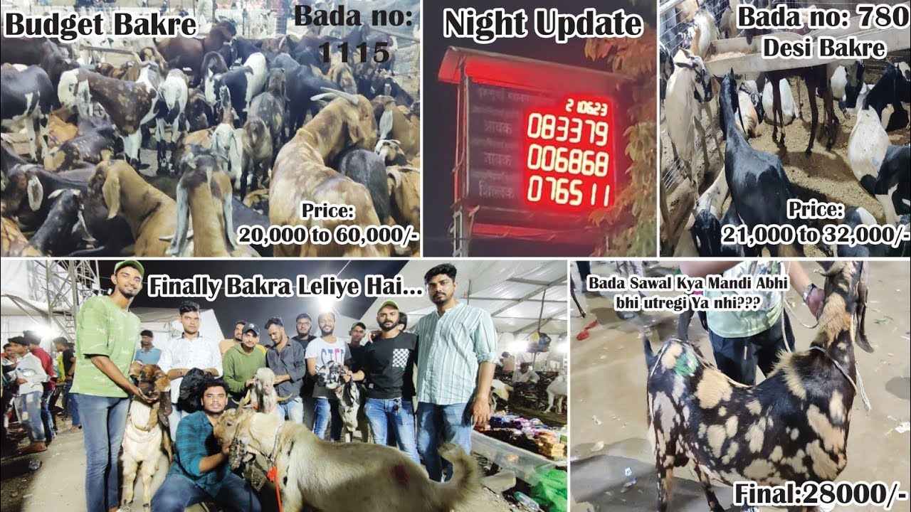 Deonar Bakra Mandi Day 4 Night Live Update | Finally Bakre leliye Hai |Part 3  21st June | 2023