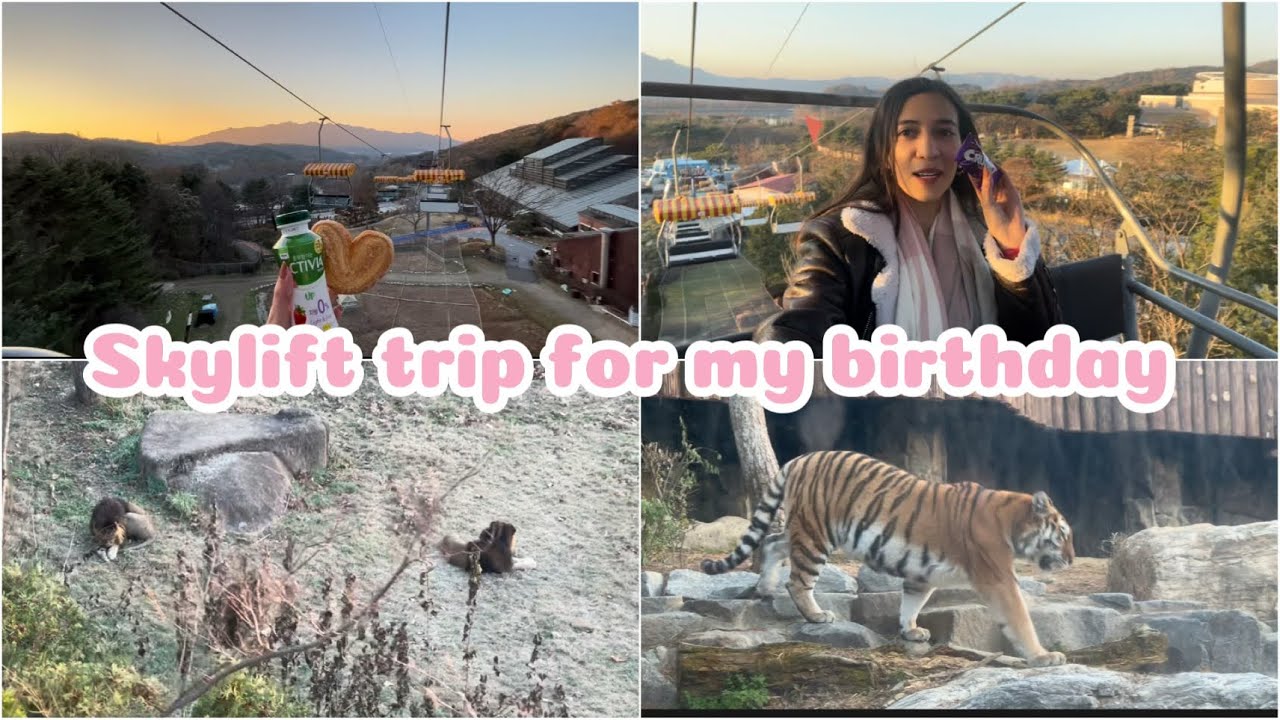 اول عيد ميلاد لوحدي في كوريا 🥳 أهديت نفسي احلى هدية 🎁  spend my birthday with me in Seoul