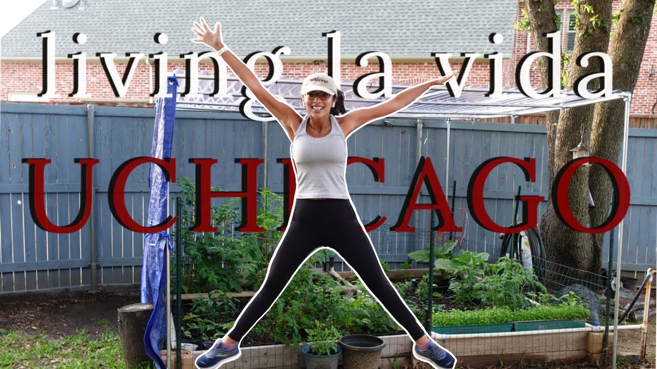 things you HAVE TO DO at UCHICAGO!!!