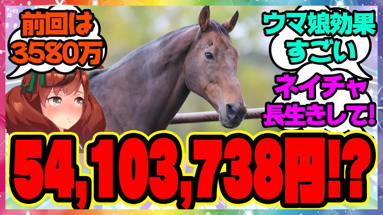 『前回の寄付金額を大幅に上回ったナイスネイチャ』に対するみんなの反応🐎まとめ【ウマ娘プリティーダービー】【レイミン】誕生日 ドネーション