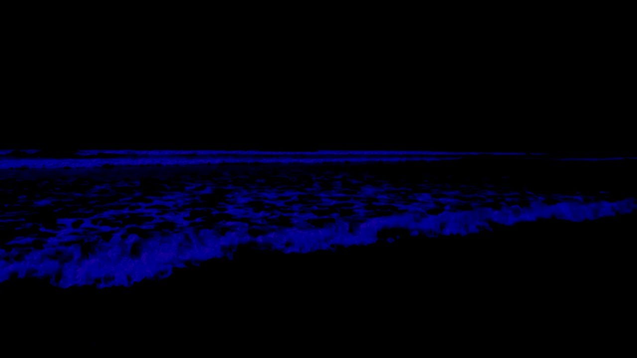 (No) Ads Deep Relaxation Music • Rolling Waves In Quiet Night For Best Insomnia Relief & Relaxation