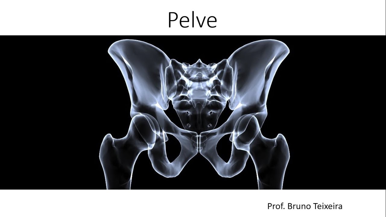 Anatomia da Pelve - Pelve Verdadeira e Falsa, Cavidade Pélvica e Diferenças Sexuais
