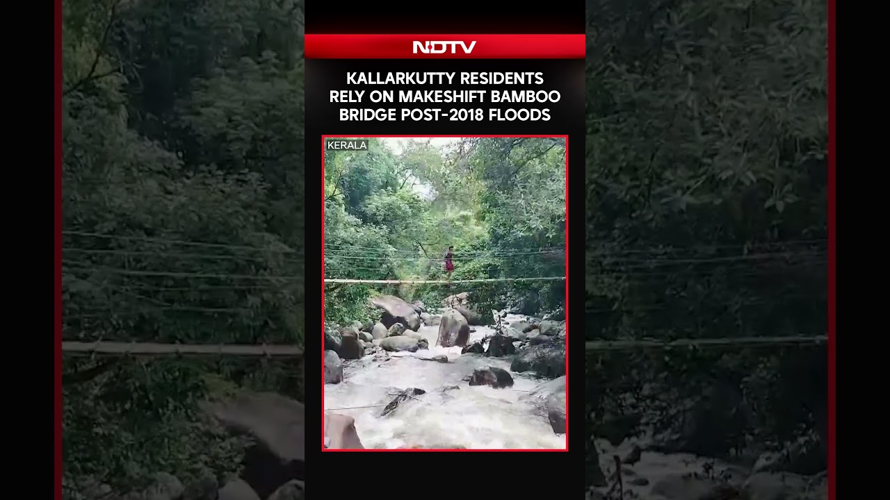 Kerala News | Kallarkutty Residents Rely on Makeshift Bamboo Bridge Post-2018 Floods