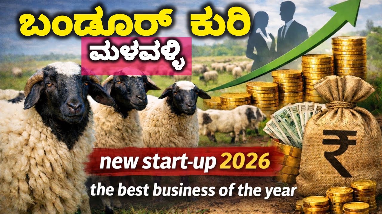 ಬಂಡೂರು ಕುರಿ ಸಾಕಾಣಿಕೆ ಸಂಪೂರ್ಣ ಮಾಹಿತಿ | Bandur Kuri Farming in Kannada | ಲಾಭದಾಯಕ ಕುರಿ ಉದ್ಯಮ