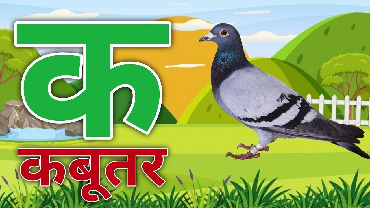 क से कबूतर 🕊️|  Phonics Song 2 With TWO Words in 3D - Numbers Songs with Sounds for Children