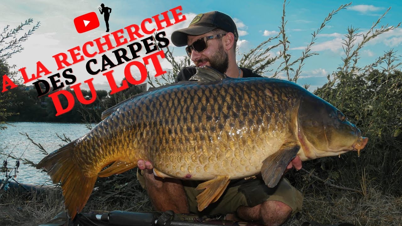 Peche a la CARPE sur la riviere LOT