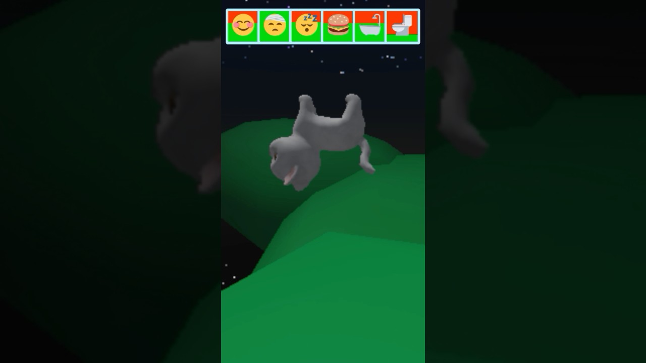 I WENT FLYING IN PET PARTY