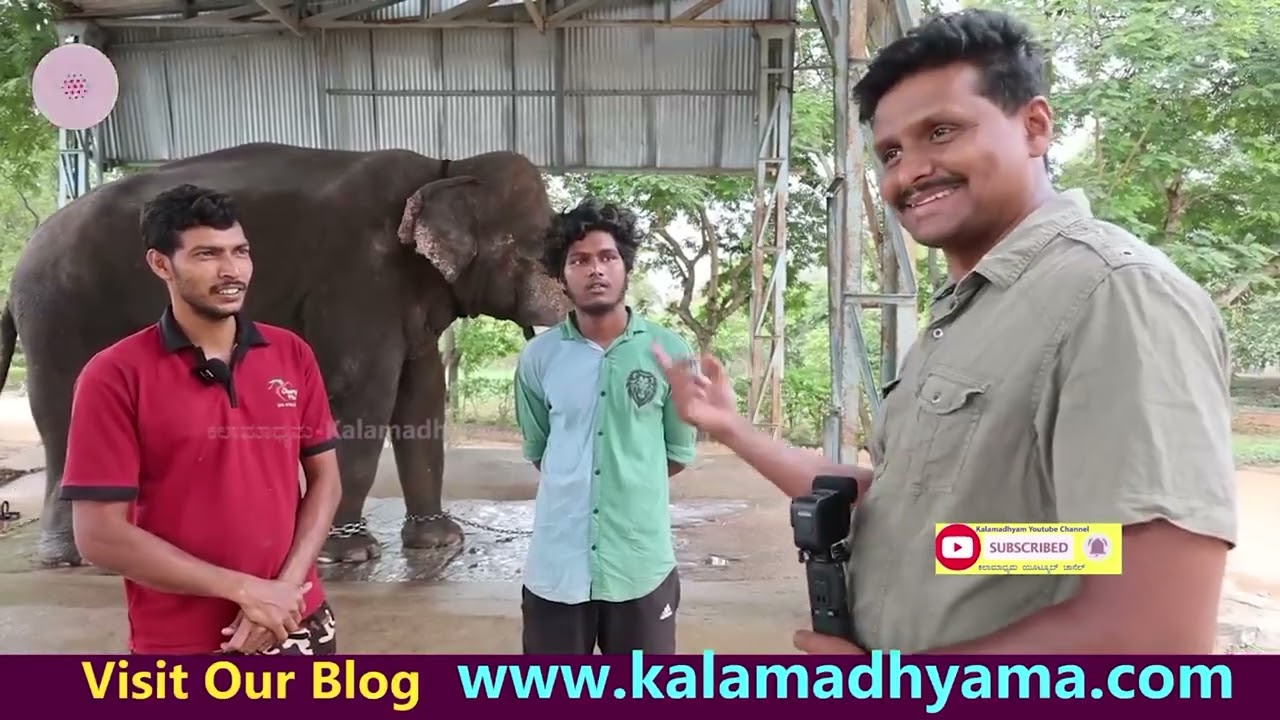 Elephant Camp FULL EPISODE-ಮಾವುತ ಸಂಪತ್ ಜೊತೆ ಆನೆ ಕ್ಯಾಂಪ್ ಒಳಗೆ ಒಂದು ದಿನ!-@kadinamakkalu