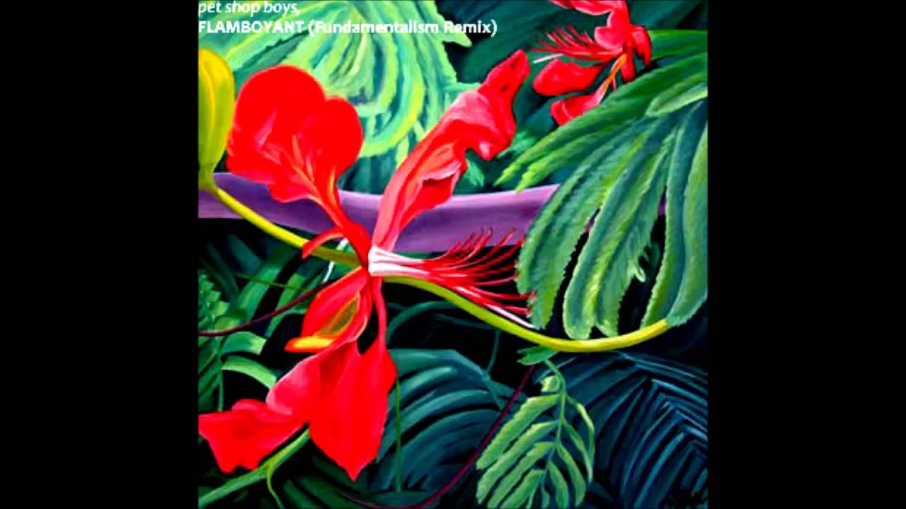 Pet Shop Boys - Flamboyant (Michael Mayer Kompakt Mix)