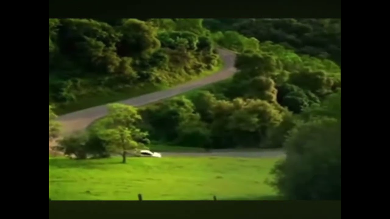 Lannan screaming
