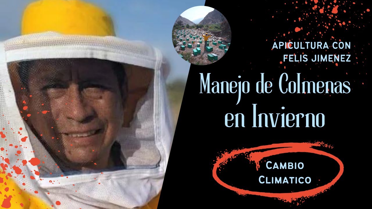 Protegiendo las colmenas para el invierno ante el cambio climático en Peru