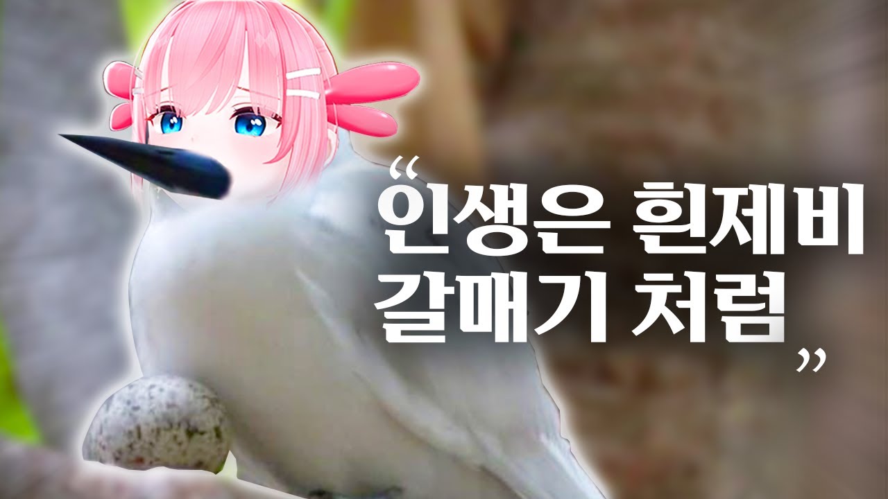 끼룩? | 카페탐방