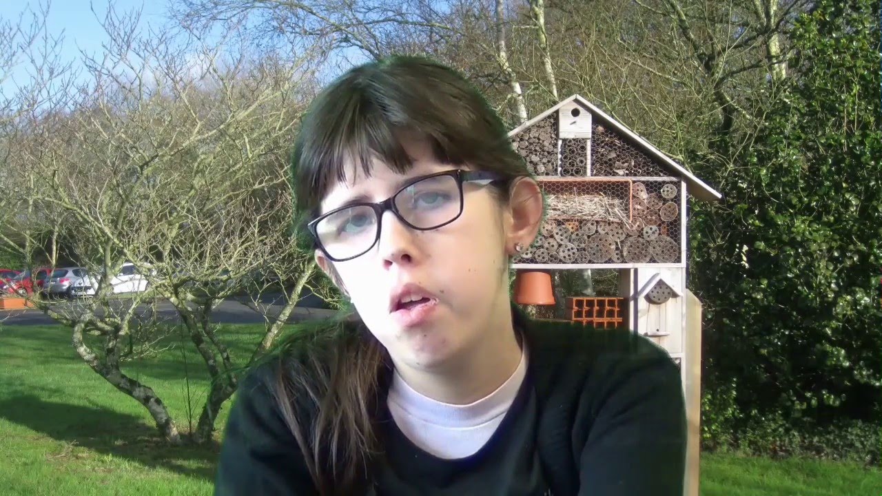 interview jeunes IEM mars 2016