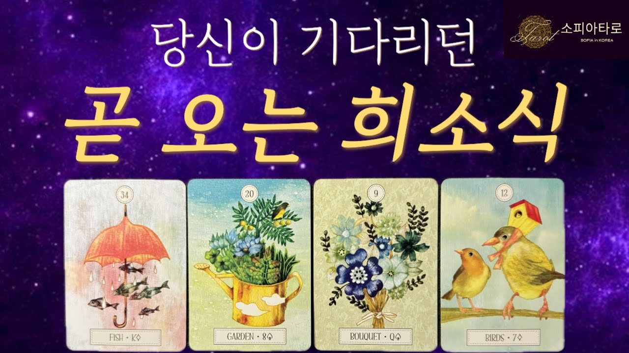 [소피아 타로] 곧 오는 희소식 🎉🎂 진심으로 기원합니다 🙏