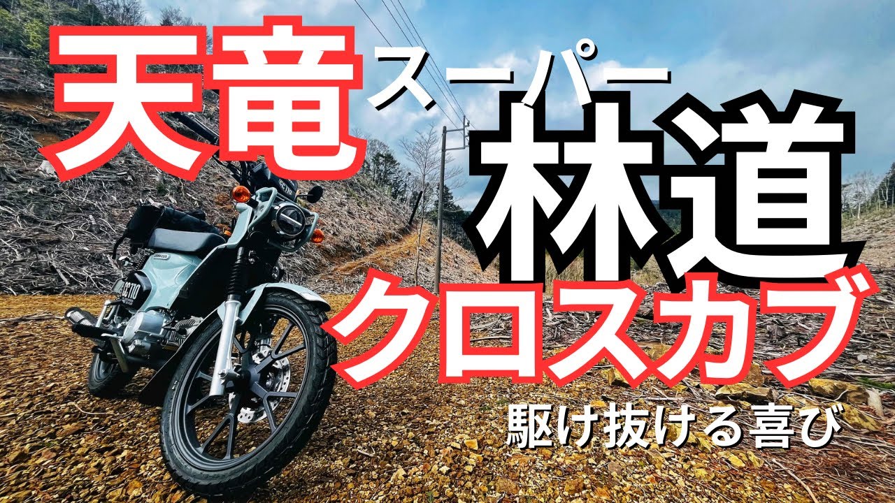 【クロスカブ１１０】バイクで林道をツーリングしてきたらめっちゃ楽しかった【モトブログ】
