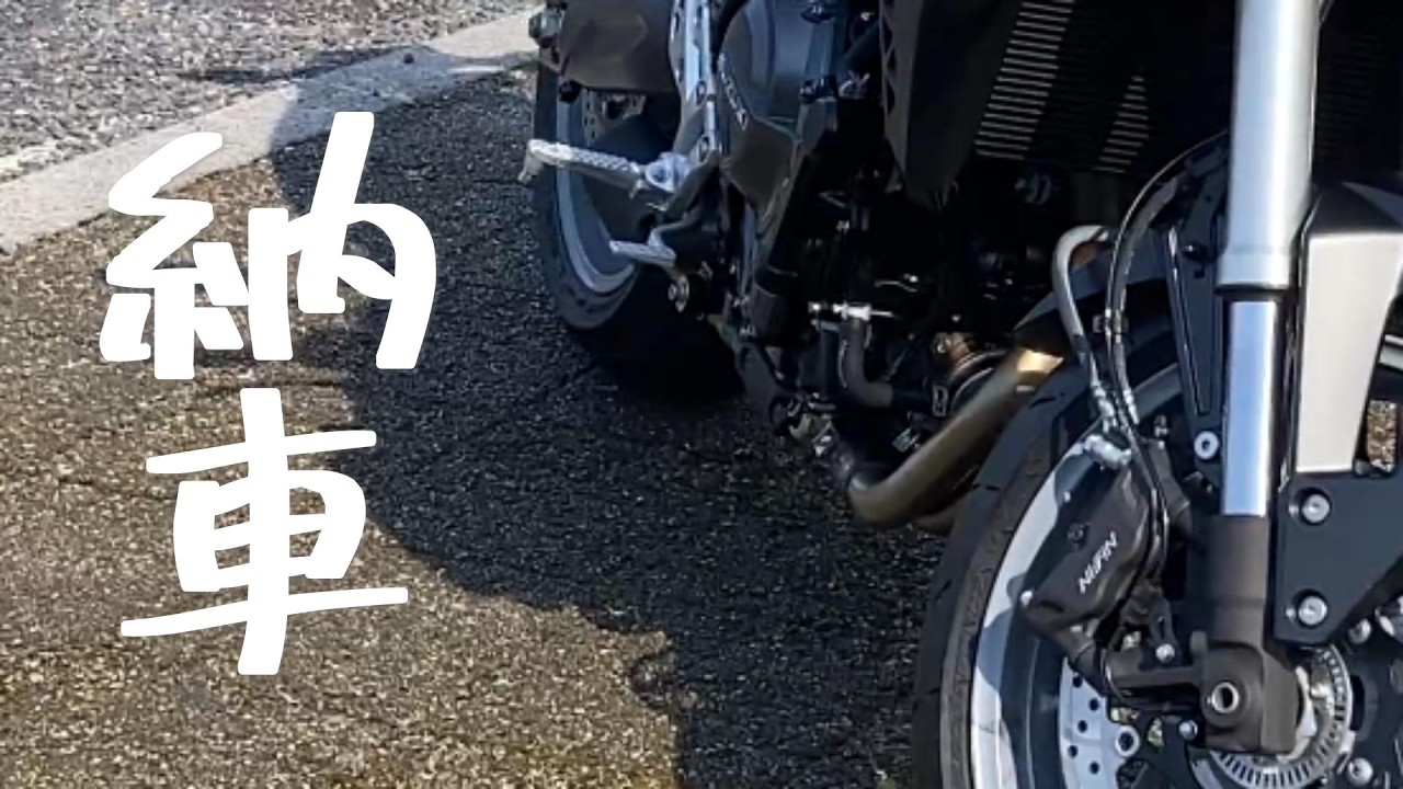 新しい相棒を連れて帰りました。