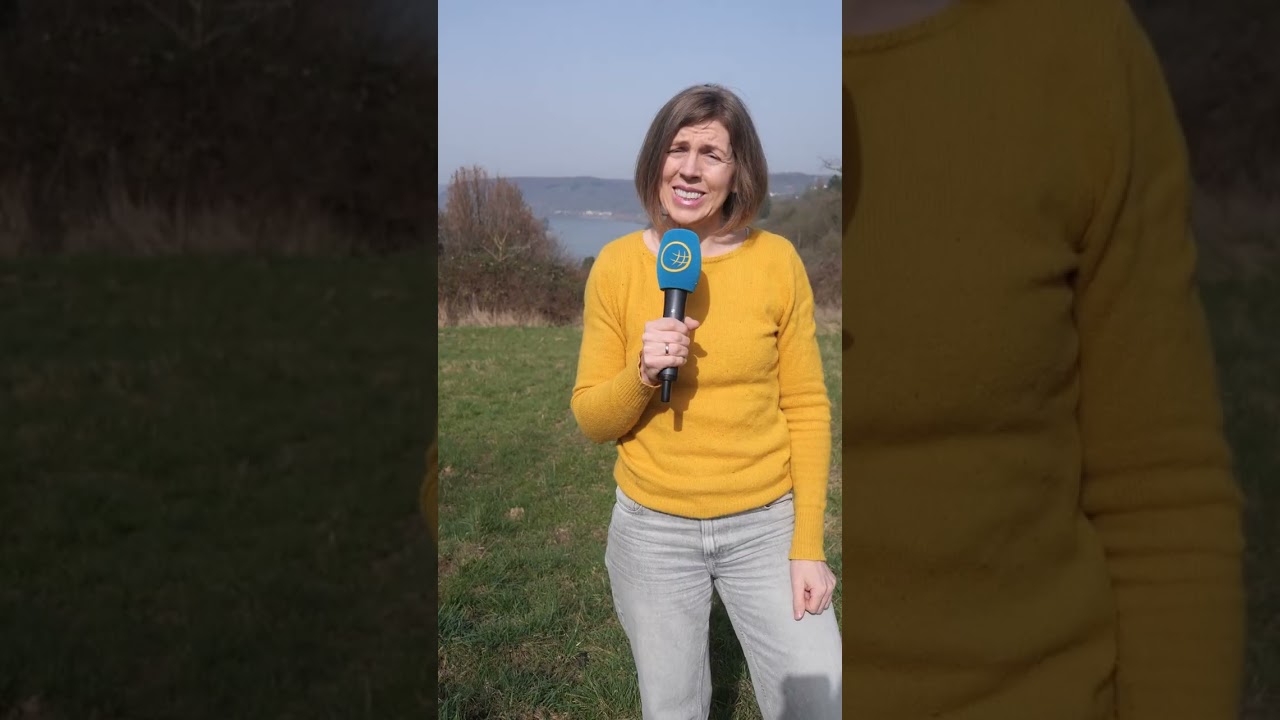 Saharastaub mit Folgen