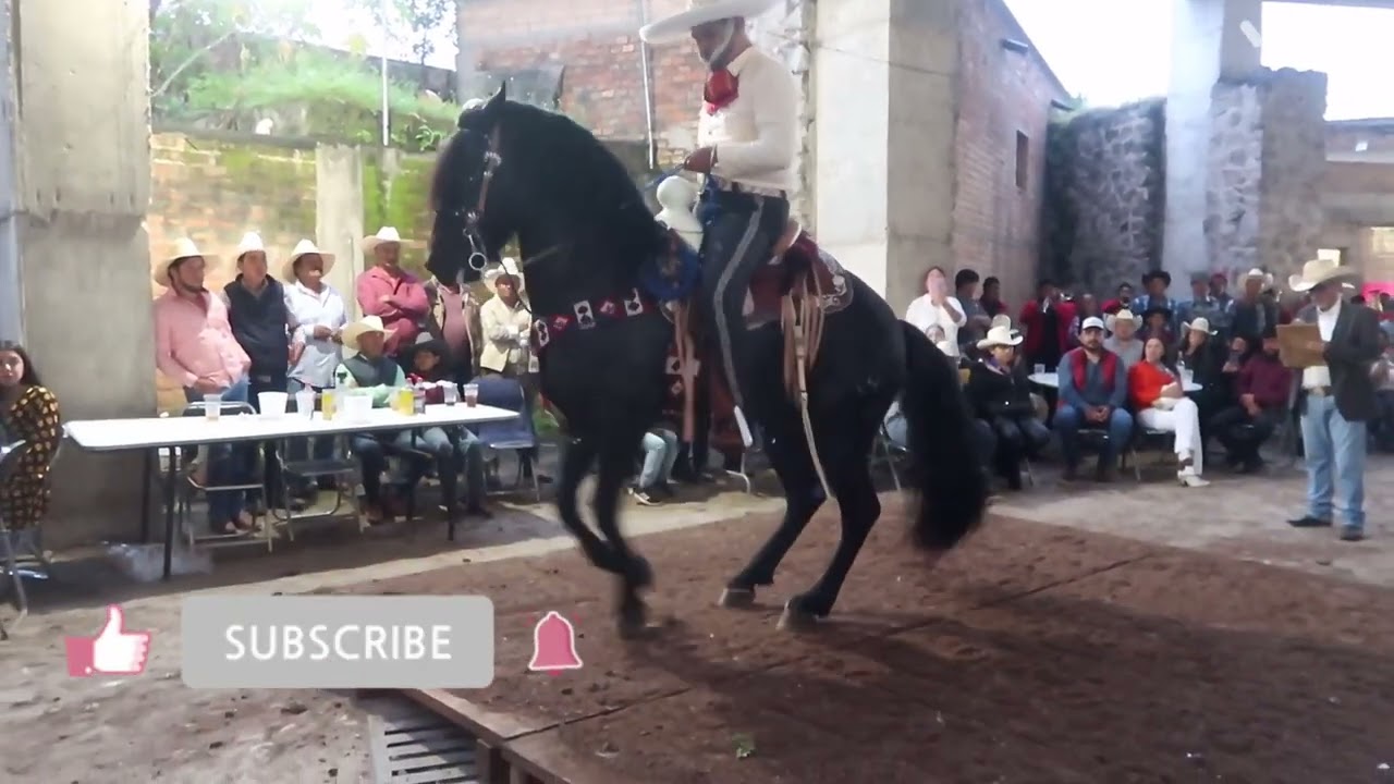 CABALLOS BAILADORES MAGDALENA JALISCO 9/27/2024