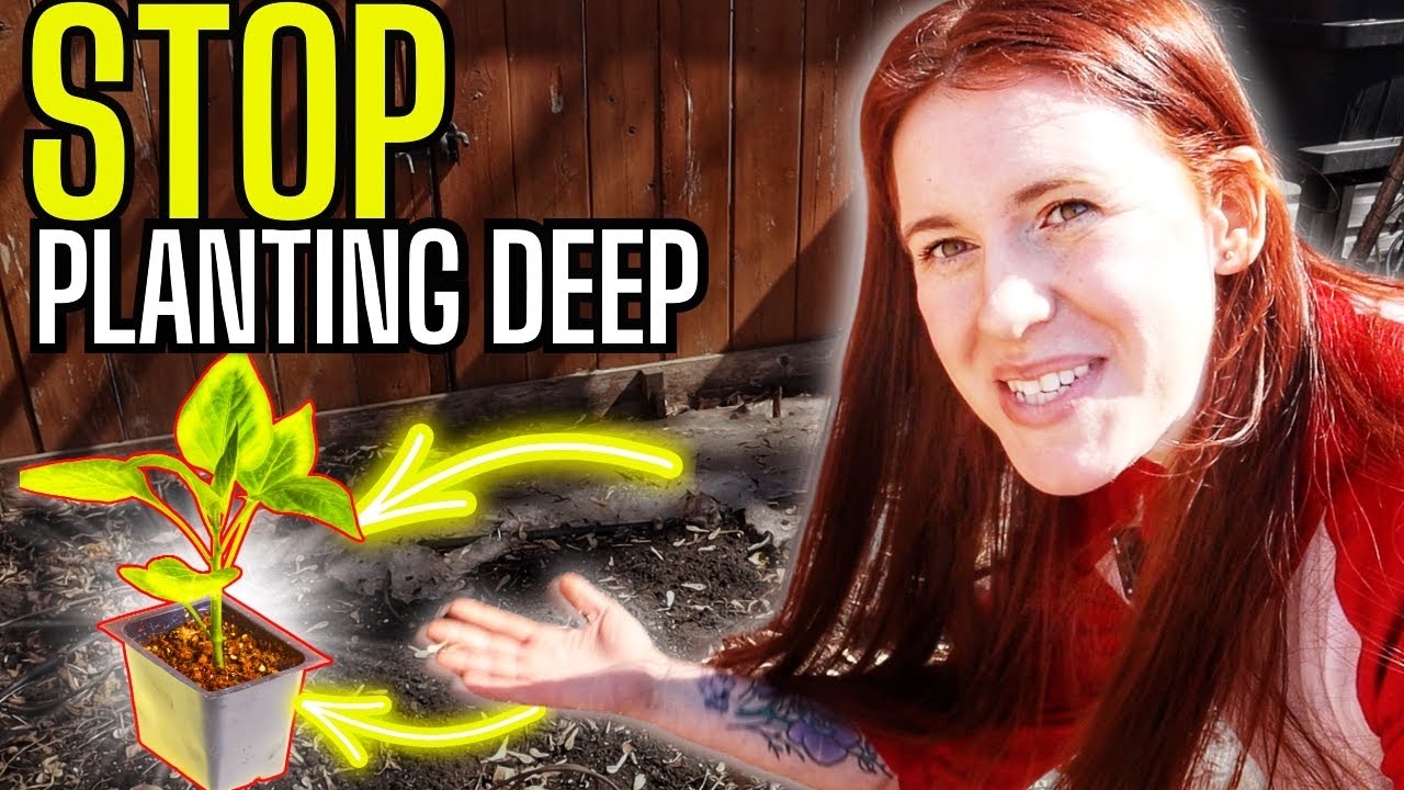 You’re Planting Wrong — A Soil Scientist’s Outdoor Masterclass & Why it works