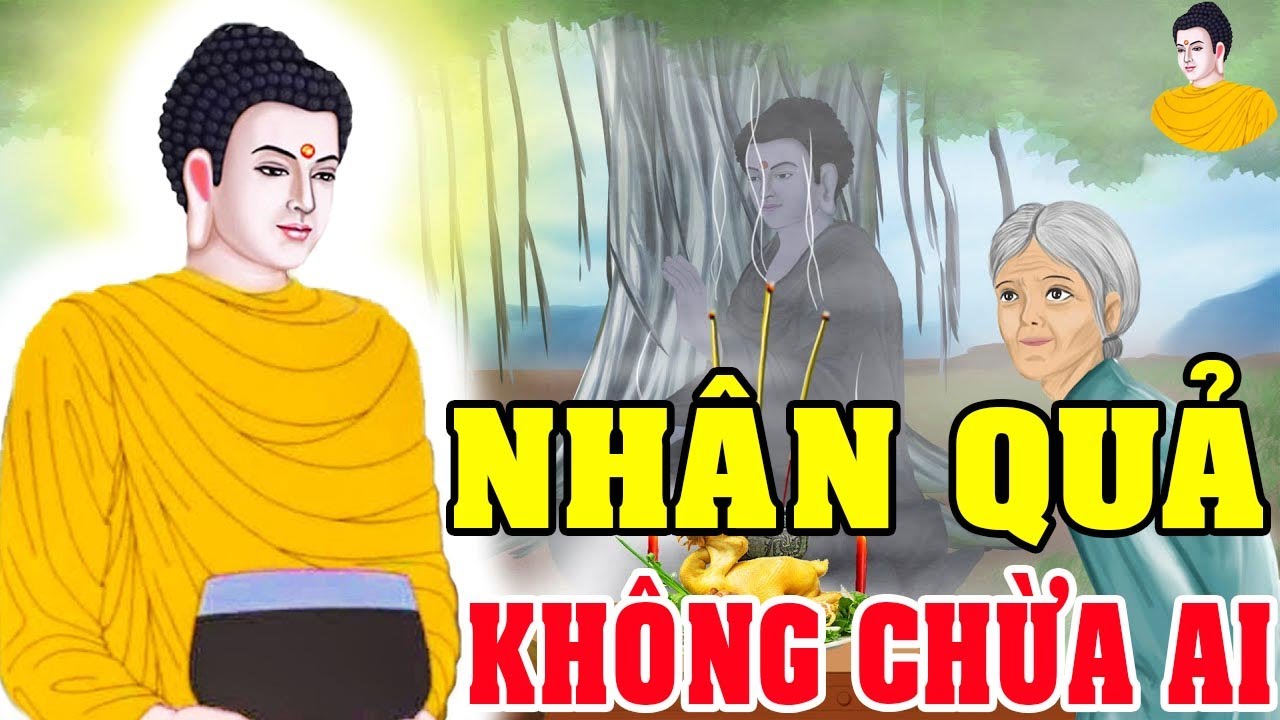 Nhân Quả Báo Ứng Không Chừa Ai,GIEO NHÂN ÁC GẶT QUẢ ÁC |Chuyện Phật Giáo Đêm Khuya 
