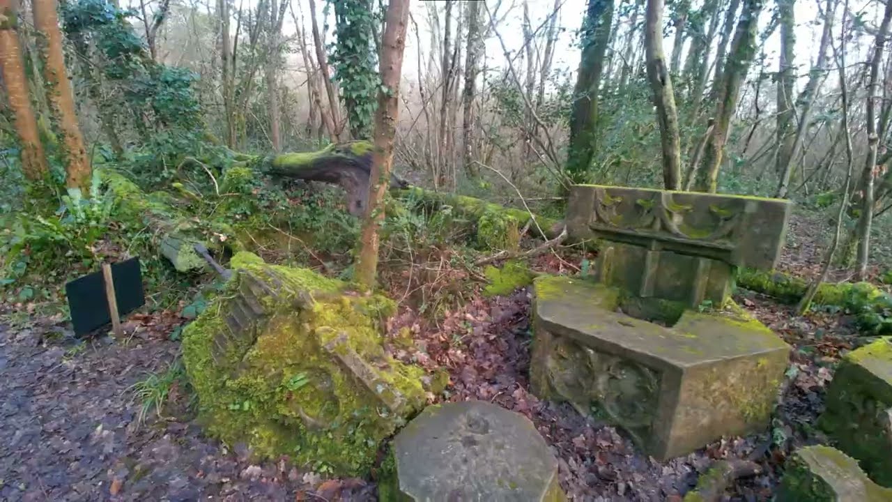 Winter at Woods Mill Nature Reserve 🌳🐦🐦‍⬛🦆🌳