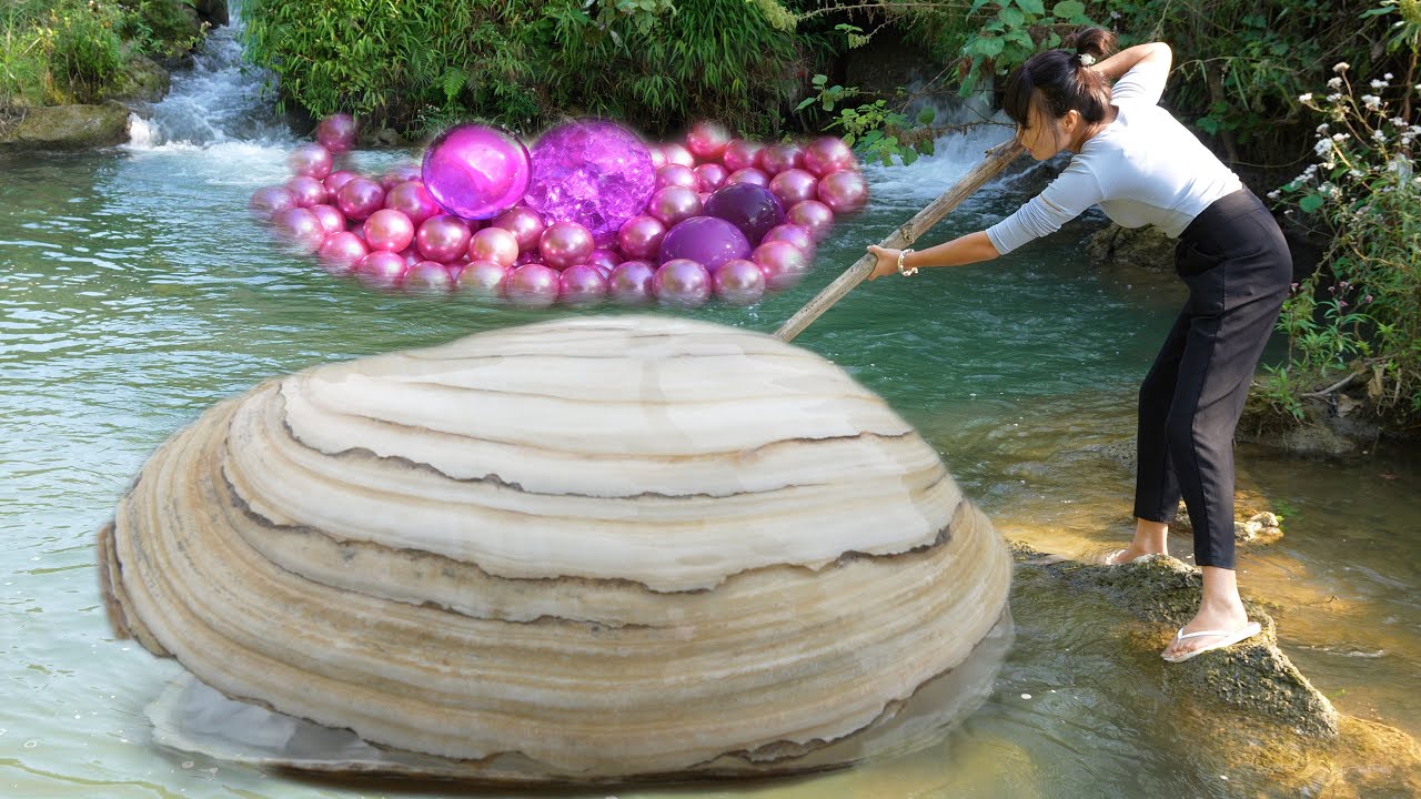 What begins as a casual stroll transforms when a colossal clam guards a pearl-studded hidden dynasty