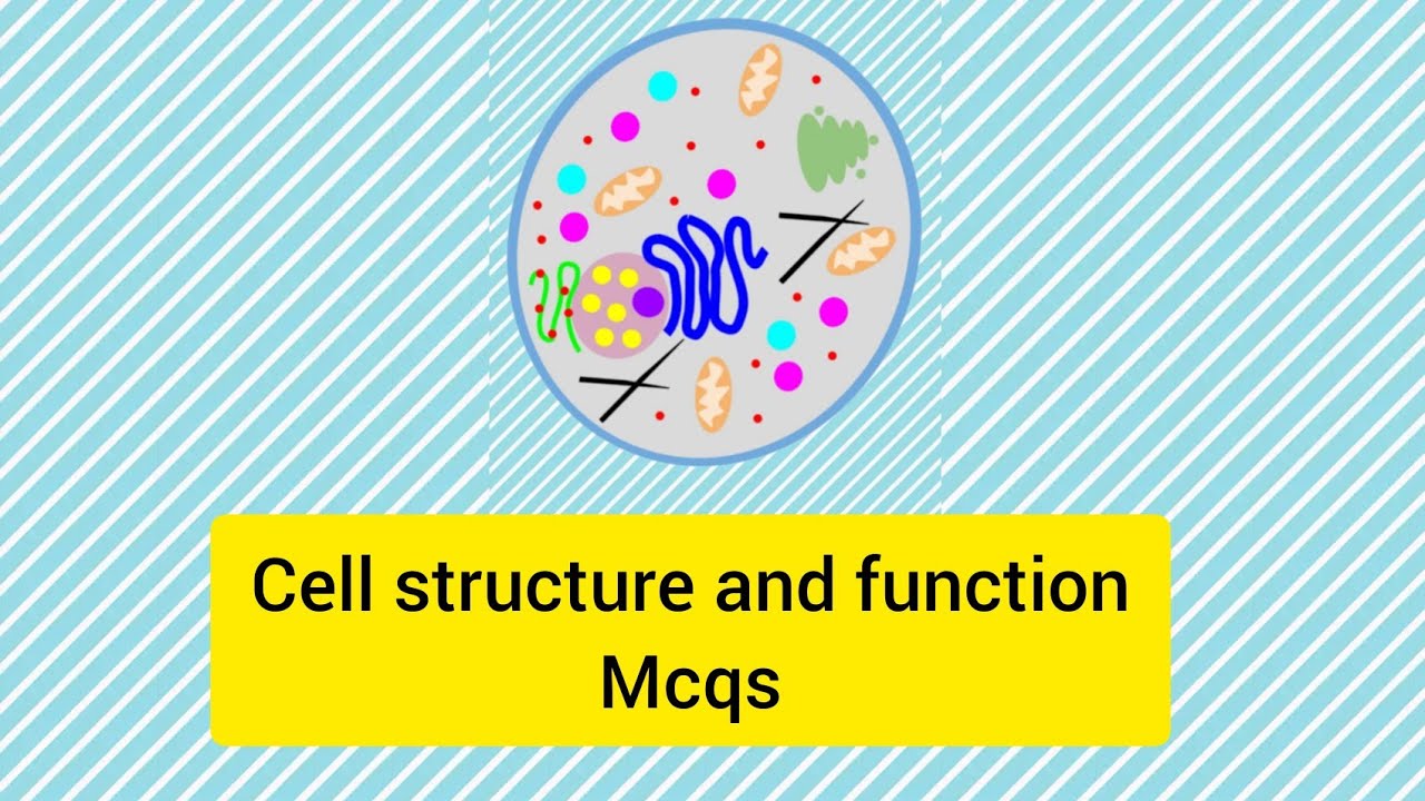 cell structure and function mcqs for MDCAT/ETEA students