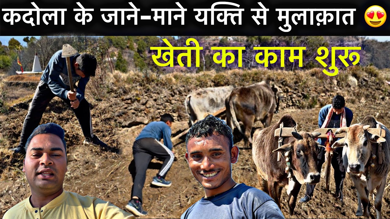 मनोज भाई ने सुनाया जबरदस्त गाना 😳ll पहाड़ों में खेती का काम शुरू 😊ll pahadi lifestyle vlog ❤️ ll
