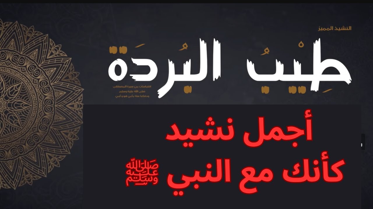 سيرة النبي كاملة في نشيد أكثر من رائع يعرفك من مولد النبي ﷺ حتى وفاته أجمل ٢٠ دقيقة | طيبُ البُردة