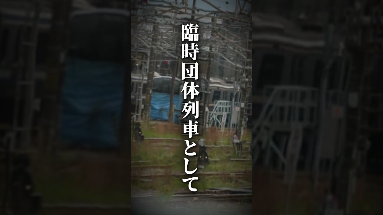 奇跡の復活。　#e217系 #横須賀線#テンプレ