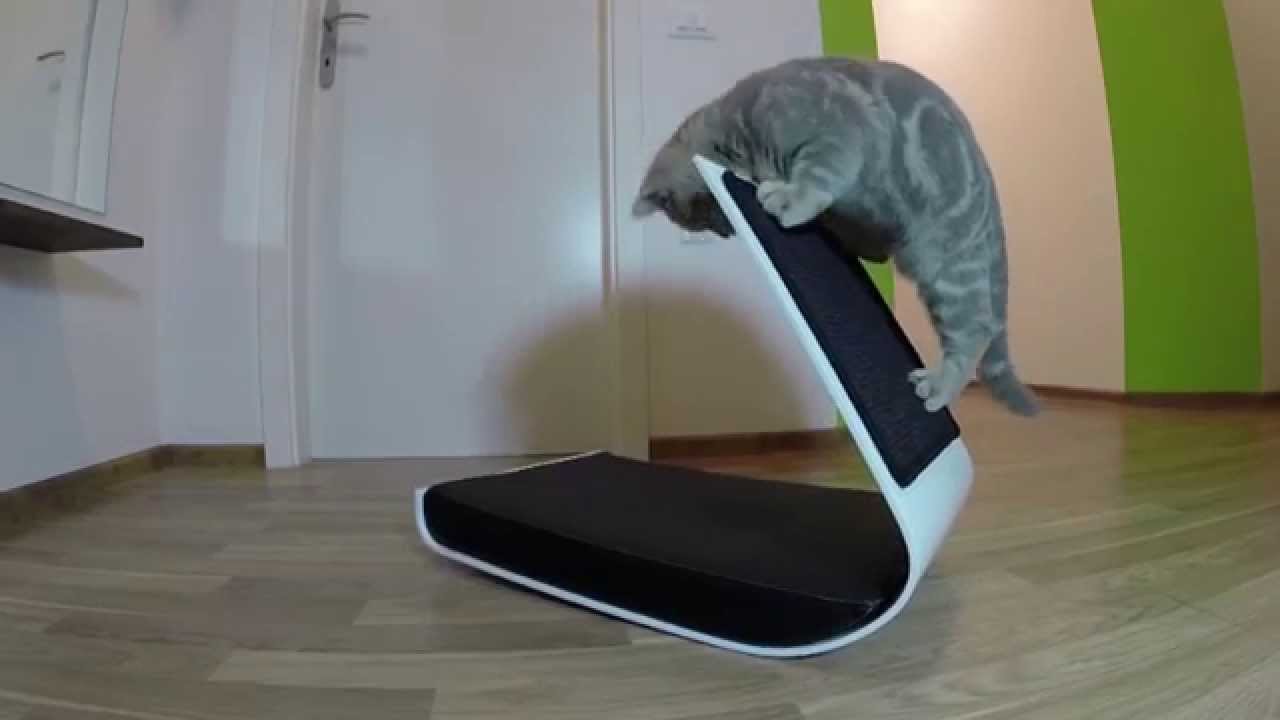 Modern pet furniture - MDeluxe