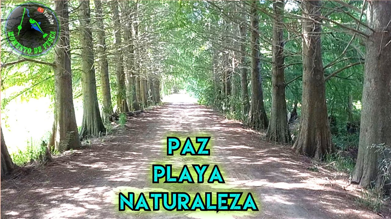 CAMPING COSTA TALAVERA EN ZARATE - RIO TALAVERA