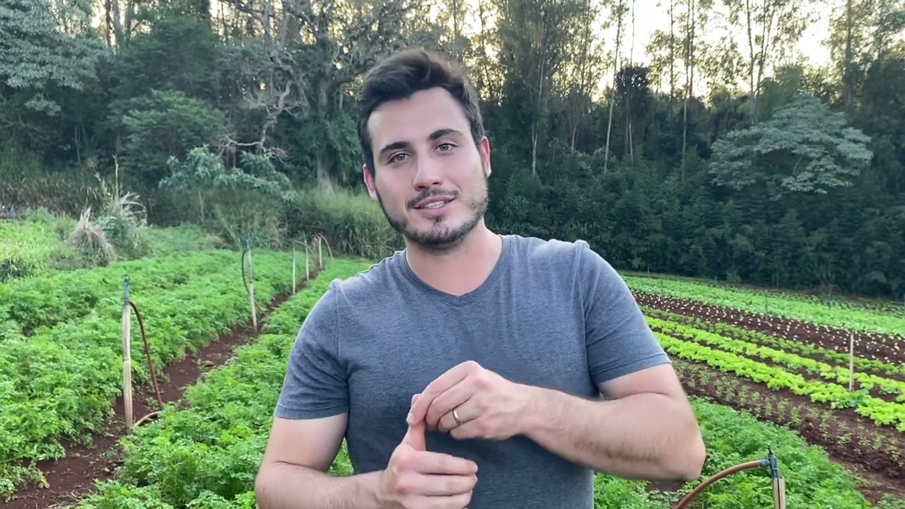 COMO FAZER ADUBAÇÃO FOLIAR NAS VERDURAS