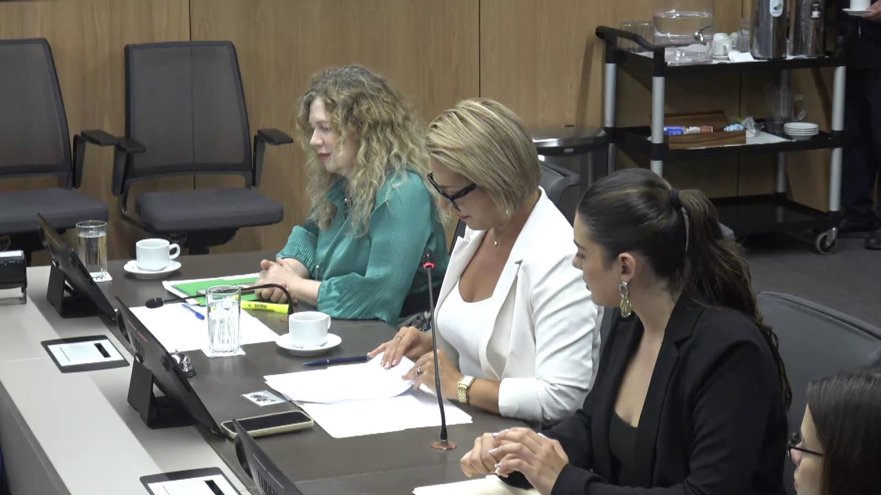 Comisión Permanente Especial de Derechos Humanos, 19 febrero 2026