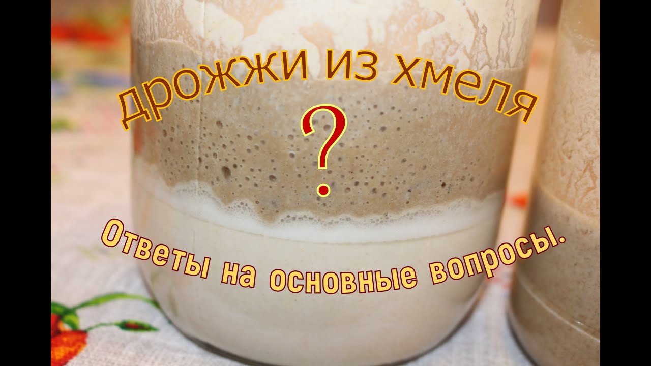 Хмелевая закваска или дрожжи из хмеля.
